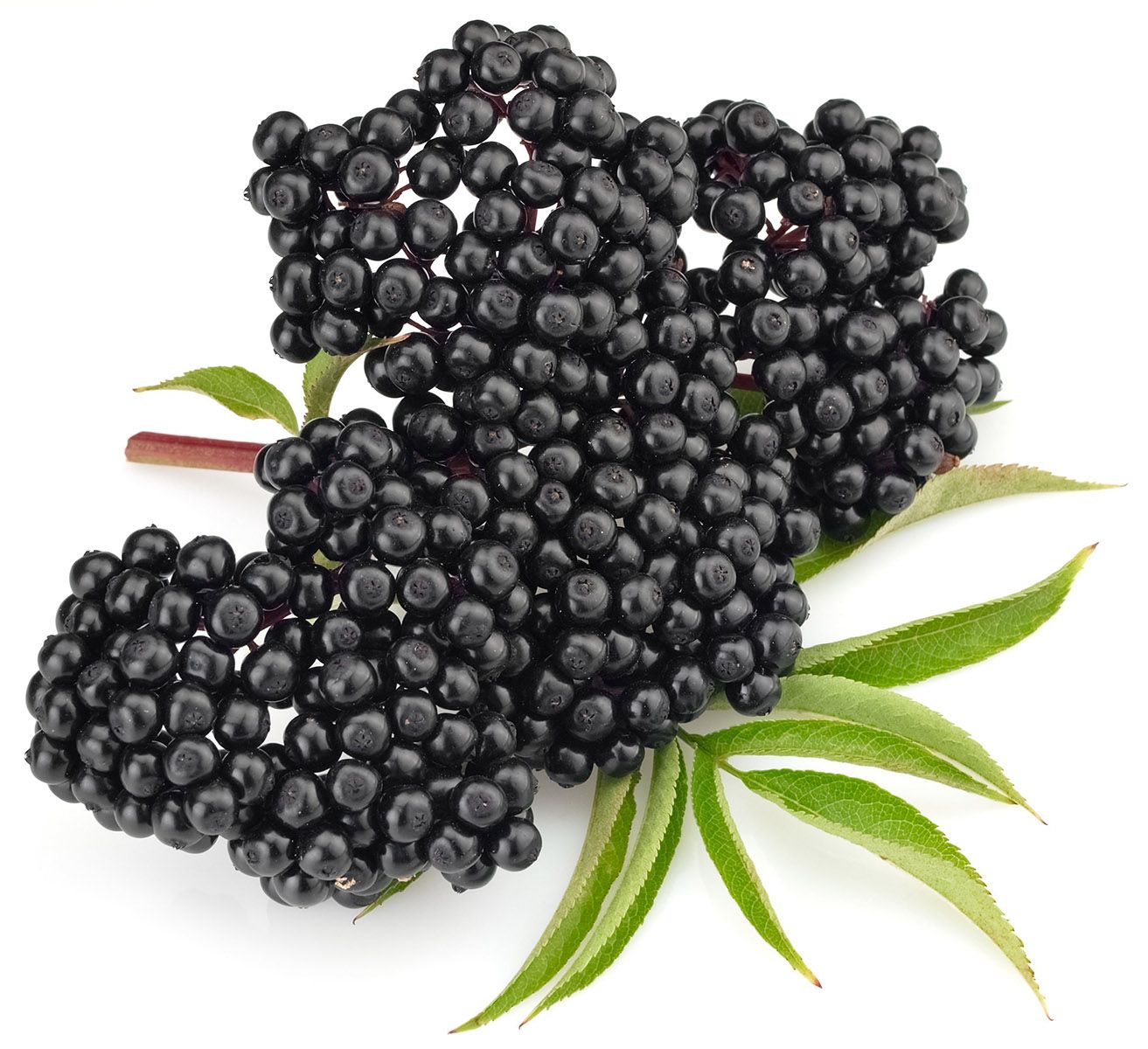 Elderberry Balsamic