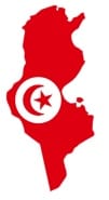 Ultra Premium Extra Virgin Olive Oil from Tunisia